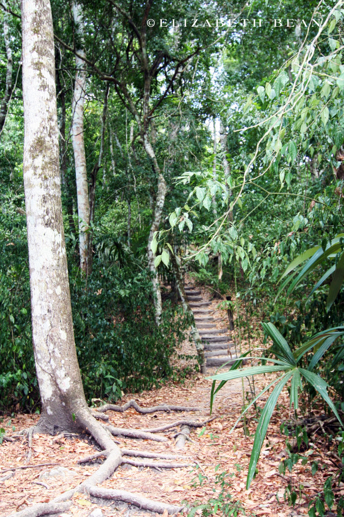 050607 Guatemala 02