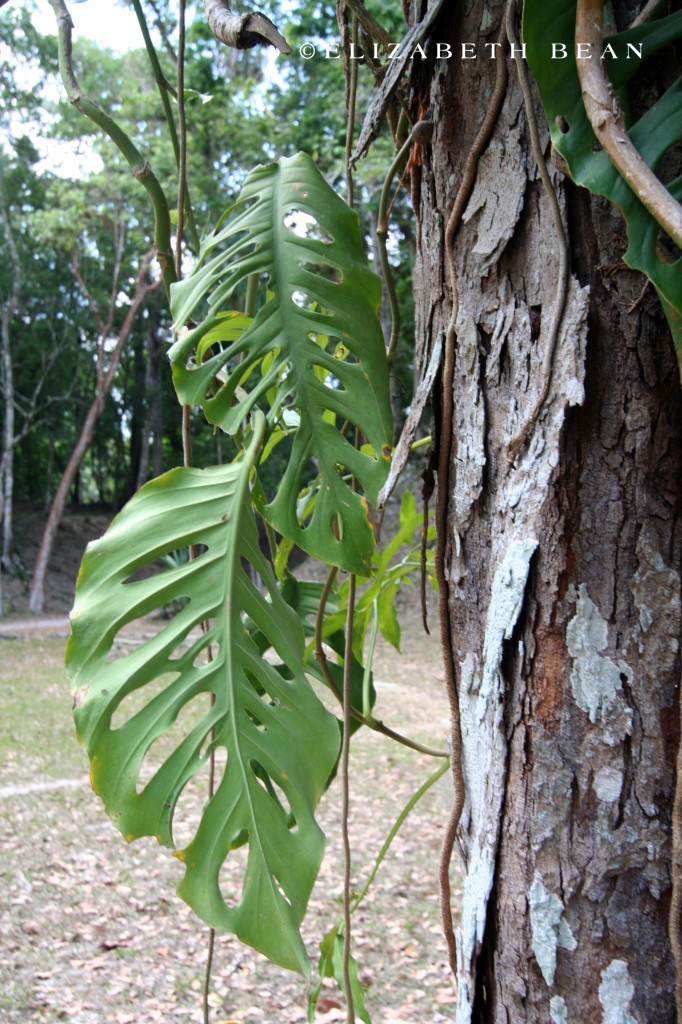 050607 Guatemala 92