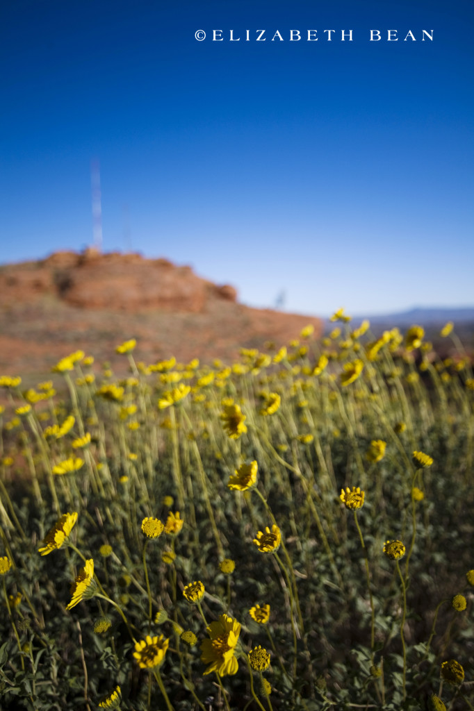 050510 Utah 07