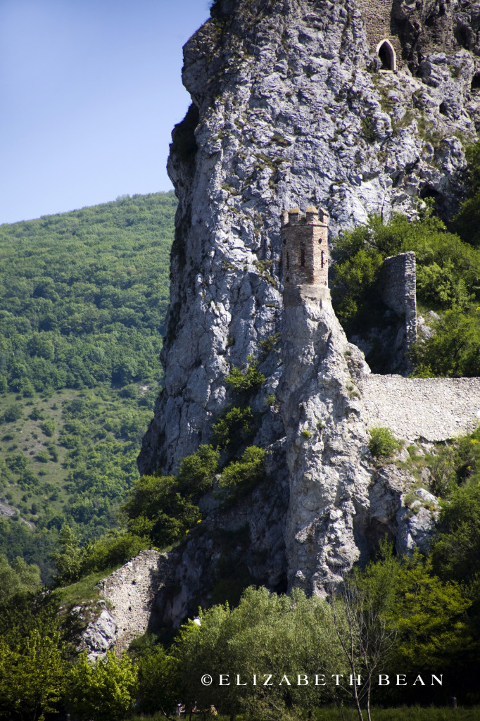 050711 Danube 19