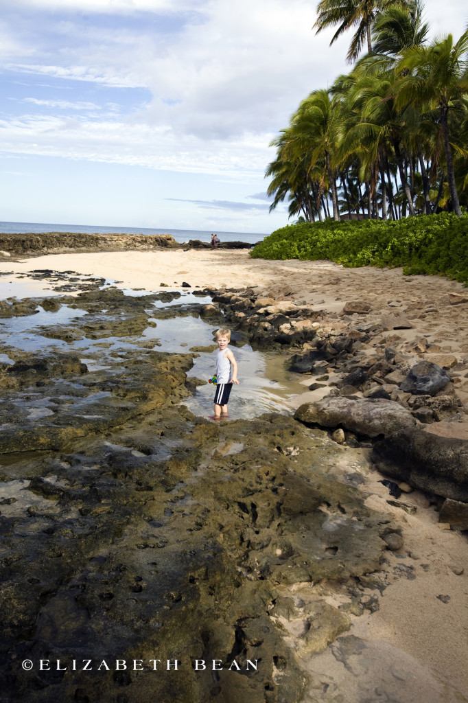 092912 Oahu 24