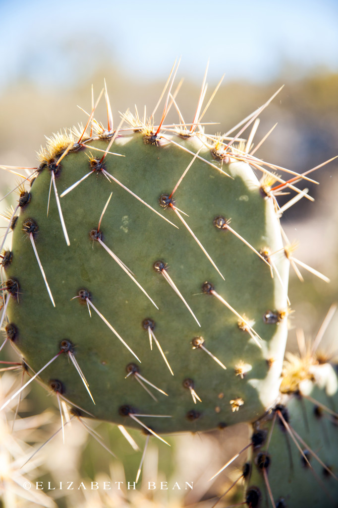 010615 Tucson 09