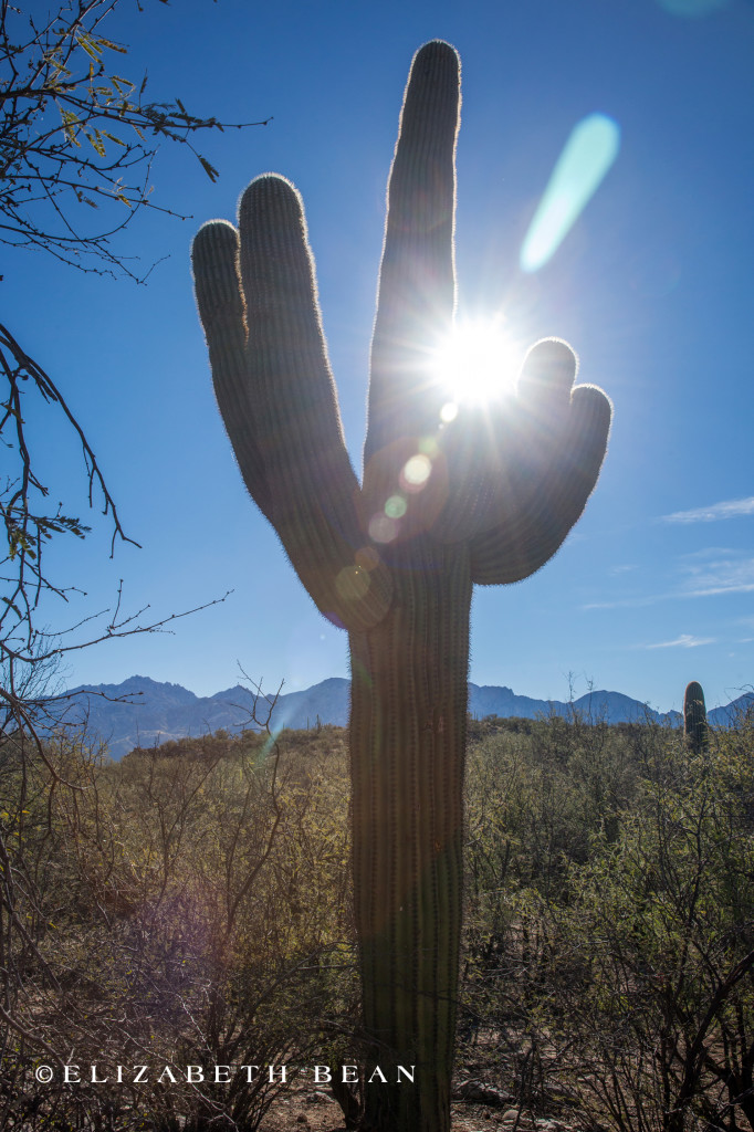 010615 Tucson 28