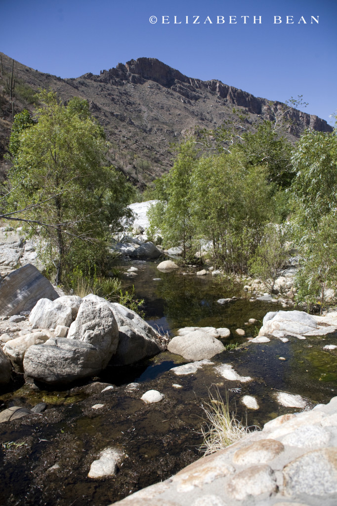 051112 Sabino Cyn 25
