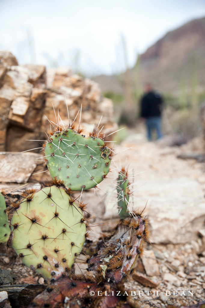 122412 Tucson 09