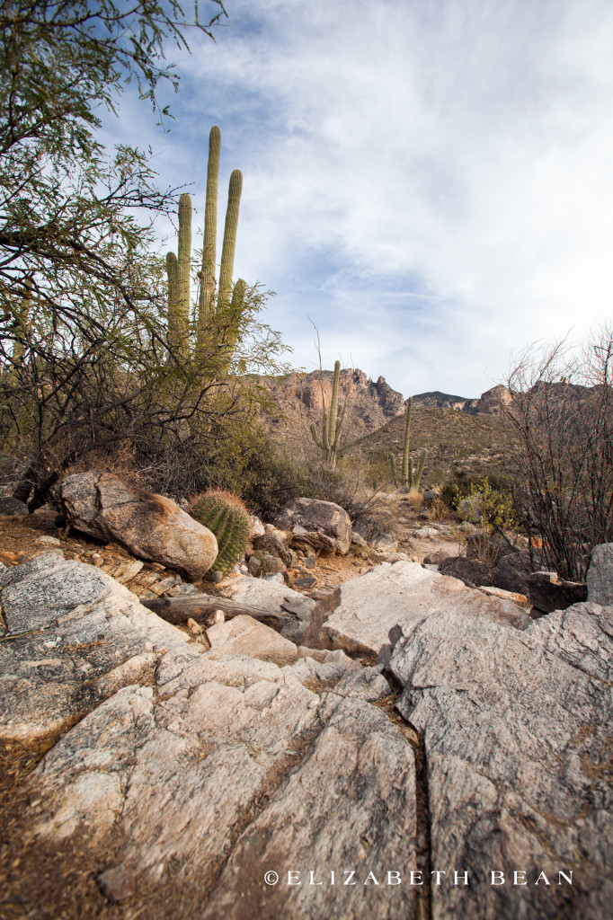 122412 Tucson 16