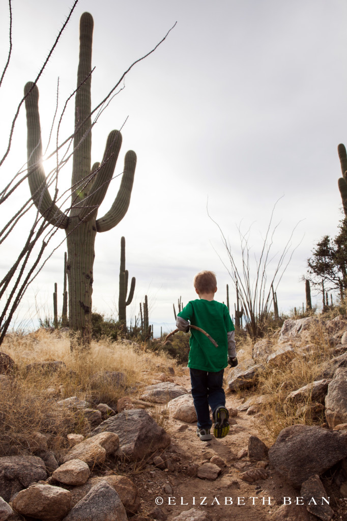 122412 Tucson 36