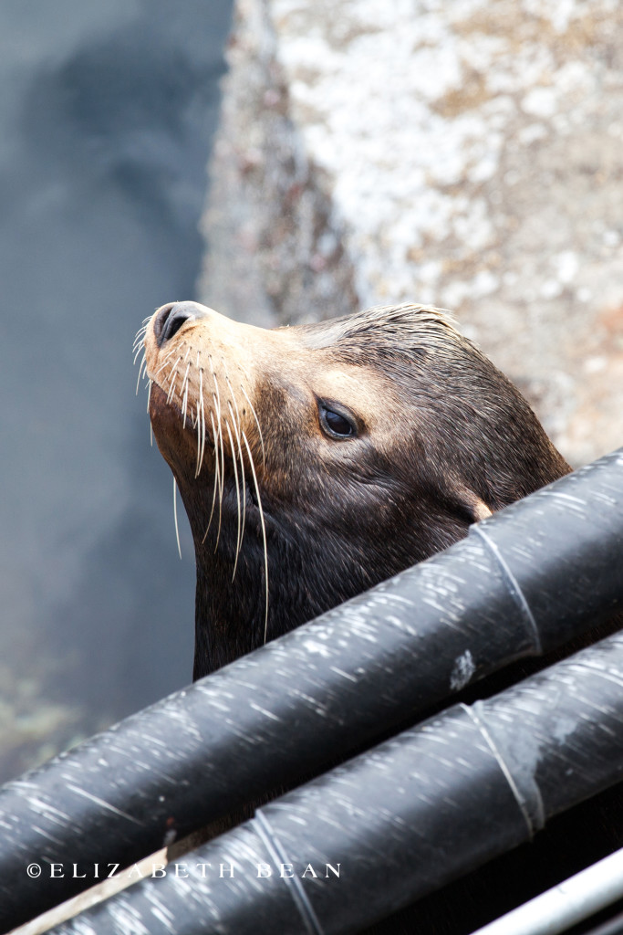 052713 Monterey 42