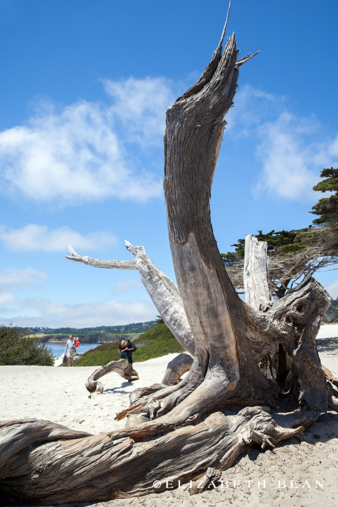 052813 Monterey 60