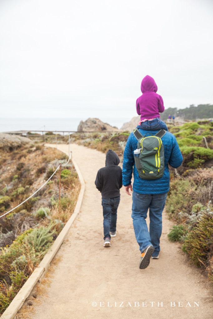 053115 Monterey 15