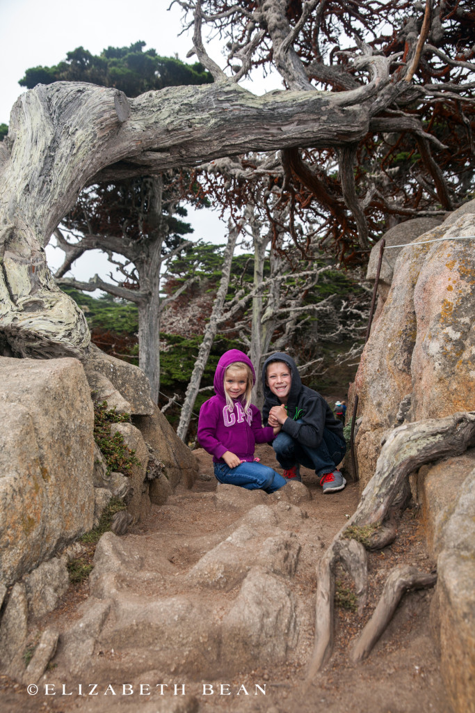 053115 Monterey 45