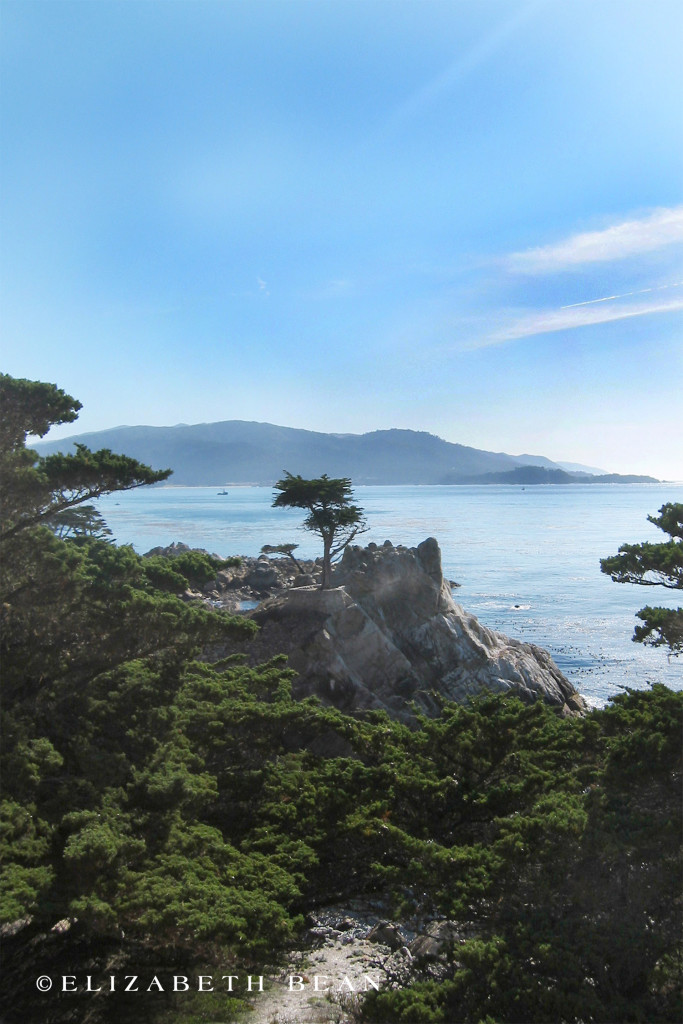 112303 Monterey 26