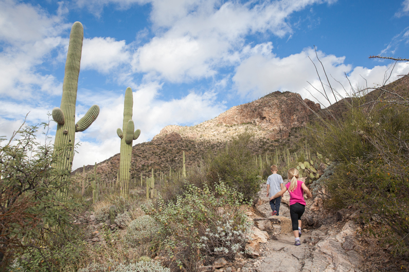 Tucson Trails For Families :: Tucson, Arizona