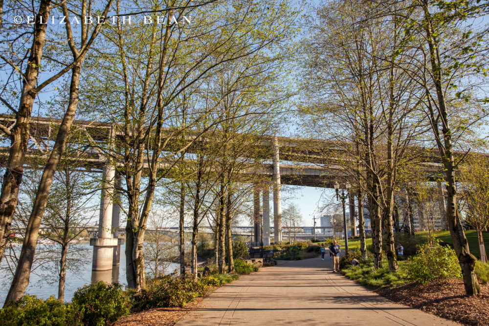 Highlights from our Spring Break in Portland Burbs2Abroad